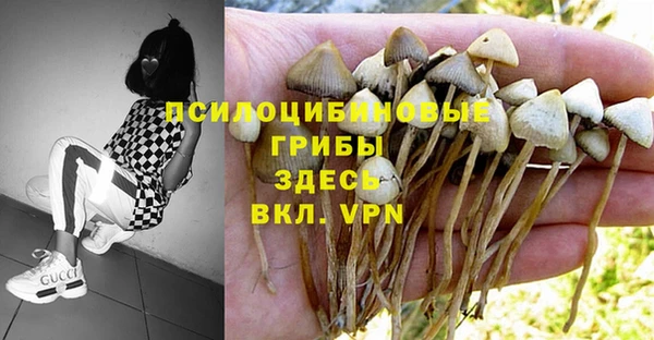 твердый Аркадак
