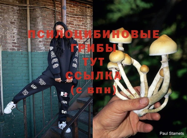 мяу мяу мука Армянск