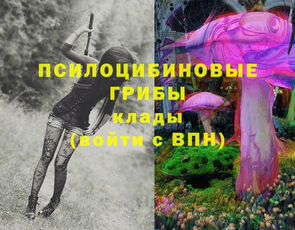 гашиш Арсеньев