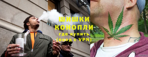 твердый Аркадак