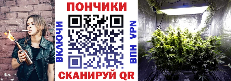 Конопля план  Томмот 